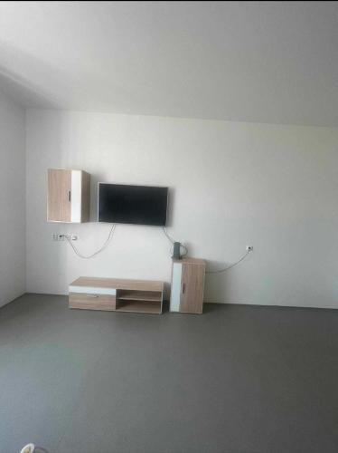 Apartmán u Lowara - Apartment - Brno