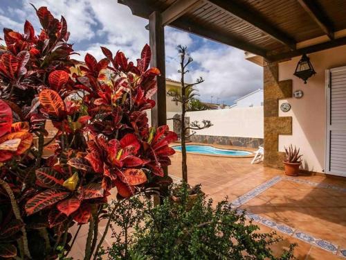 Villa in Corralejo near Playa de Palomitas - 정원