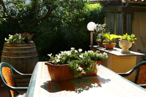 Bed and Breakfast La Villa - image 7