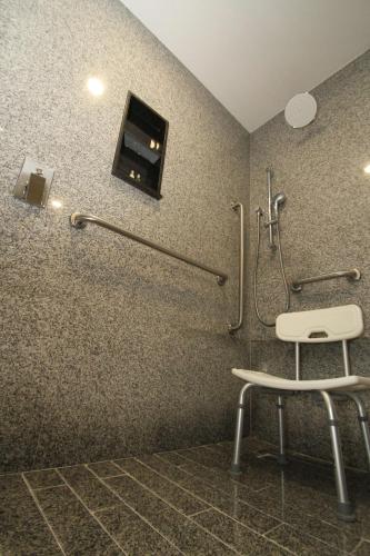 Hampton by Hilton Aguascalientes Downtown, Агуаскальентес (фото 10)