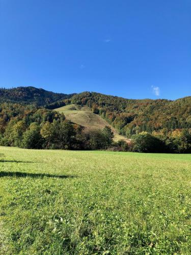 Ferienhaus Balsbergblick