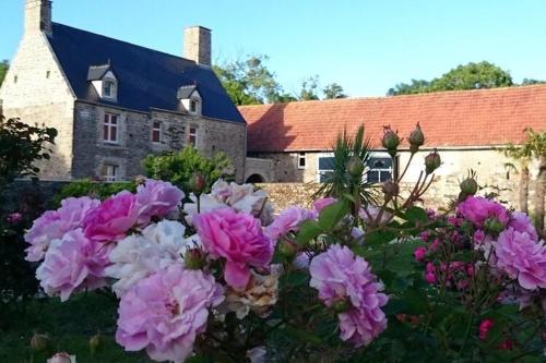 Renovated 18th century Norman manor house - Location saisonnière - Barneville-Carteret