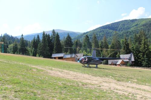 Goryanyn - image 6