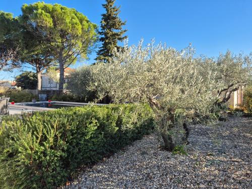 Villa avec piscine dans un domaine viticole