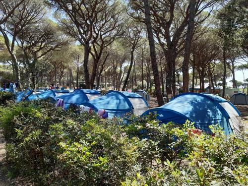 Camping Principina 5