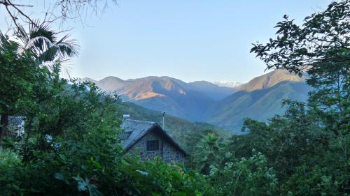 Blue Pine Farm Lodge Cabanas in 哥羅伊哥