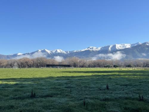 Birdsong Alley Bed and Breakfast - Accommodation - Hanmer Springs