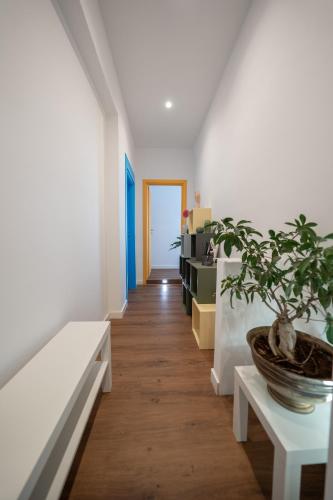 Seconda Stella a Destra Room Type - Double Room with Private Bathroom