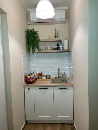 ベオグラード Airport Apartments Alexandra 4つ星 ゲストハウス プール