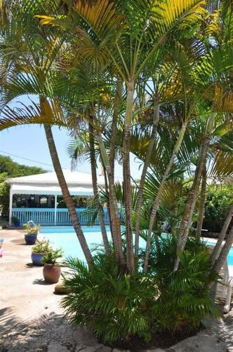 Cap Sud Caraïbes Hôtel