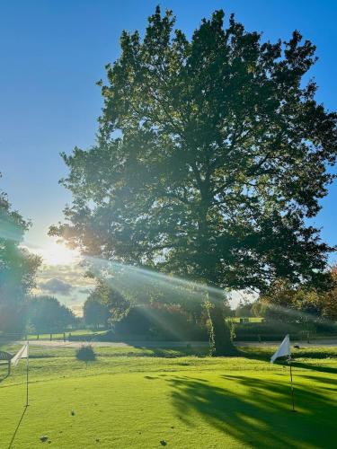 Owston Hall Hotel - image 8