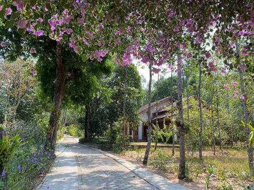 The Garden House Phu Quoc