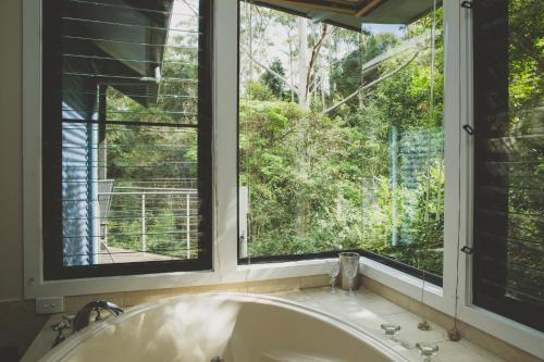 Montague's of Montville Sunshine Coast