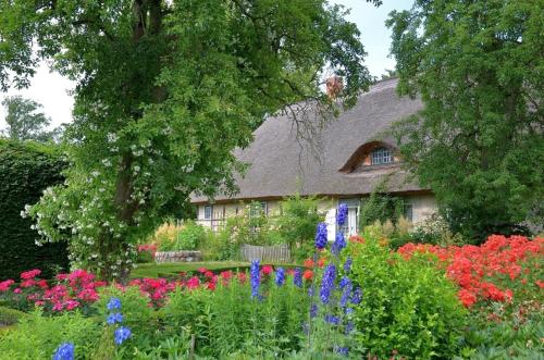 Ferienwohnung Apfelgarten am Pfarrgarten Starkow