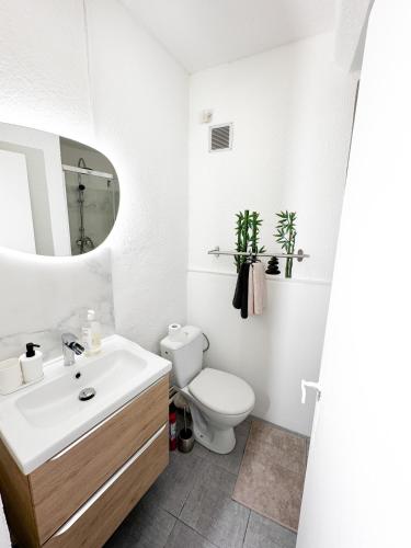Studio St Ursule R1 - Montpellier