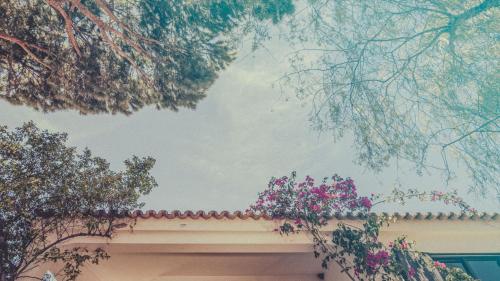 Pine House - Faro Airport, Beach and City Center