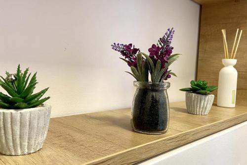 Chic & Cozy Family Apartment next to Aquapark Nymphaea, Oradea (foto 8)