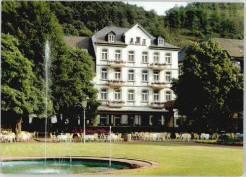 Vintagehotel Adler - Hotel - Bad Bertrich