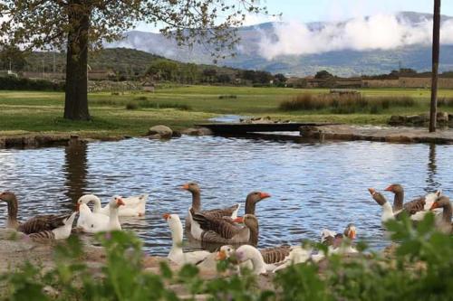  Tu Casa de Pueblo in La Iglesuela