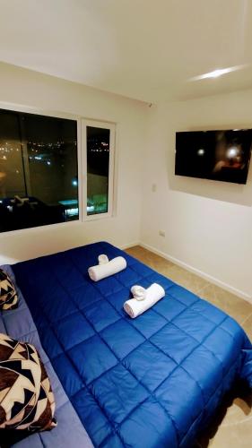 Apartment - Disability Access image 10