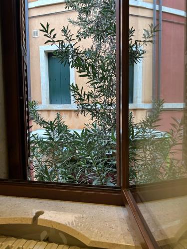 Residenza della Samaritana Classici, Verona (fotografie 9)