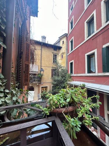 Residenza della Samaritana Classici, Verona