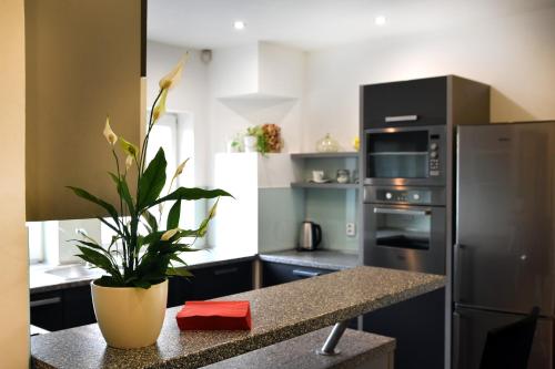 virtuve, Apartmán Hrušky (Apartman Hrusky) in Hrušky