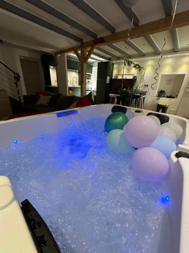 Maison avec jacuzzi