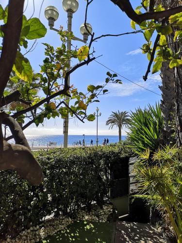 Garden Atlantide Promenade, Nice (photo 10)