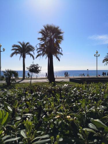 Garden Atlantide Promenade, Nice (photo 6)