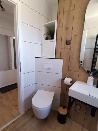 Studio apartman Daruvar