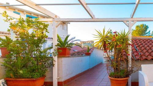 Martini Green House