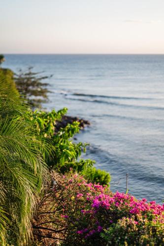 Sunset Reef St. Kitts