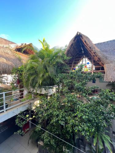 สวน, Hostelito Hotel in โคซูเมล