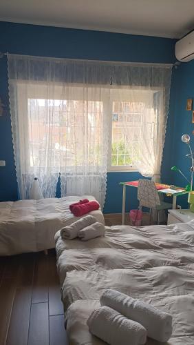 Colombo Holidays - main image