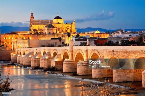 La pecera de Zoe, Córdoba (fotografie 9)
