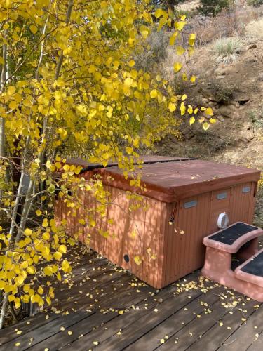 Colorado Bed & Breakfast with beautiful views Evergreen (CO) United States