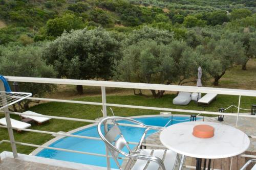 Socrates Organic Village - Wild Olive in Agrilia (Aitolia kai Akarnania)