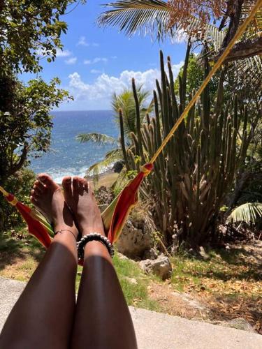 Μπαλκόνι/βεράντα, Studi 'O' Galerie in Capesterre-de-Marie-Galante