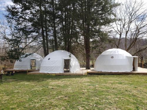 GlampOut Resort - Elk River in Sutton, USA