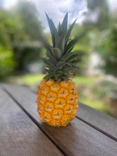 La VILLA DU GOLF La VILLA DU GOLF