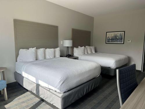 Best Western Plus Chandler in Flint (TX)