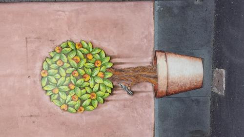  Oltre Il Giardino in Pedara