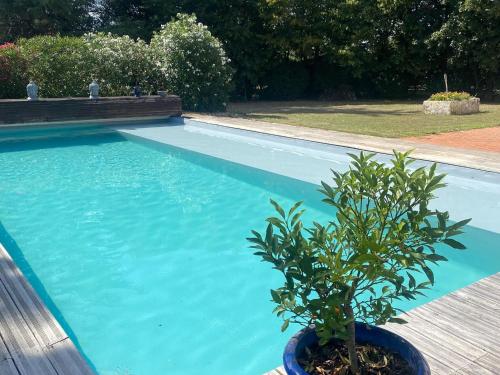 Maison Ravel with private swimming pool gîte à louer Nalliers