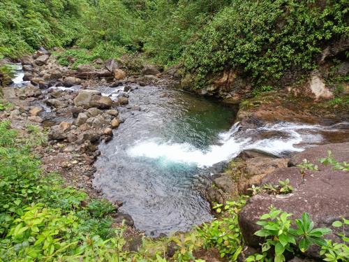 Bitzu Dome-Bijagua Riverside Glamping