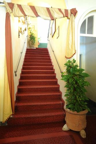 Hotel Villa Kinzica - image 13