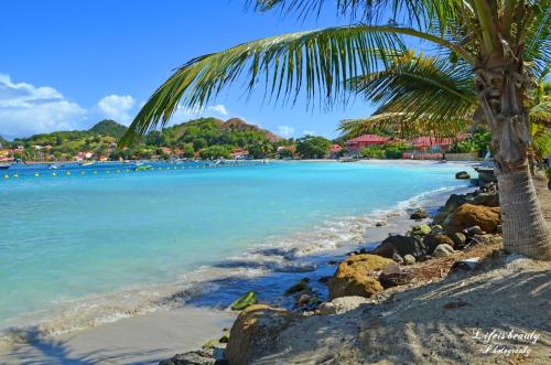 Beach, Eden Part' - Appartement avec jardin prive a Baie-Mahault in Baie-Mahault