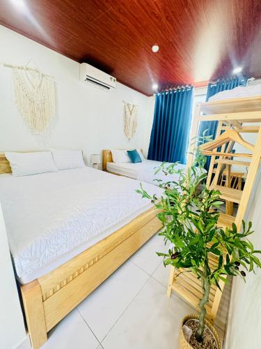 Classic Double or Twin