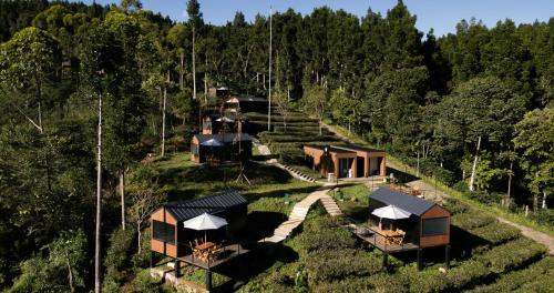 Bobocabin Dieng Pass, Batang