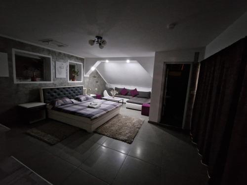 Cazare MOLDI - regim hotelier - image 9